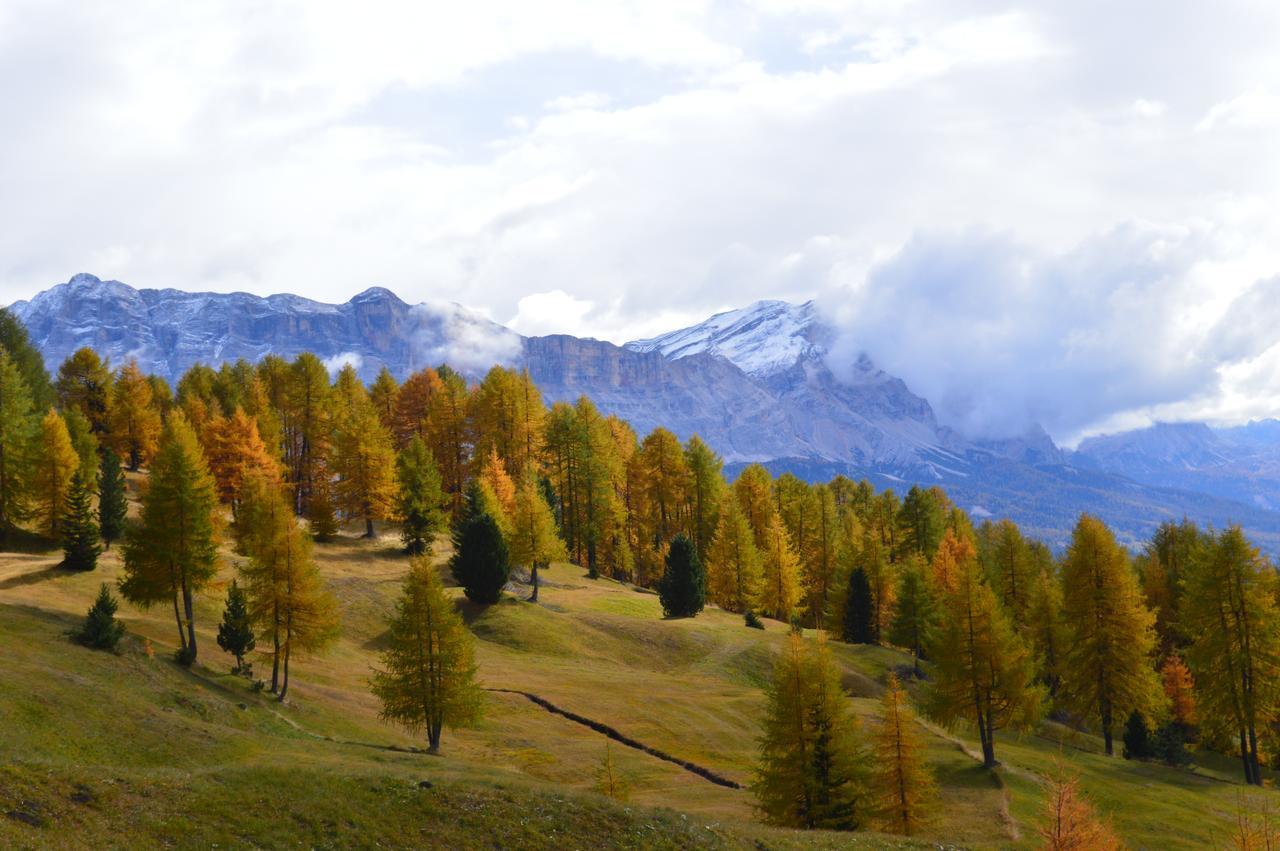 Apartmán Agriturismo Anví Badia  Exteriér fotografie